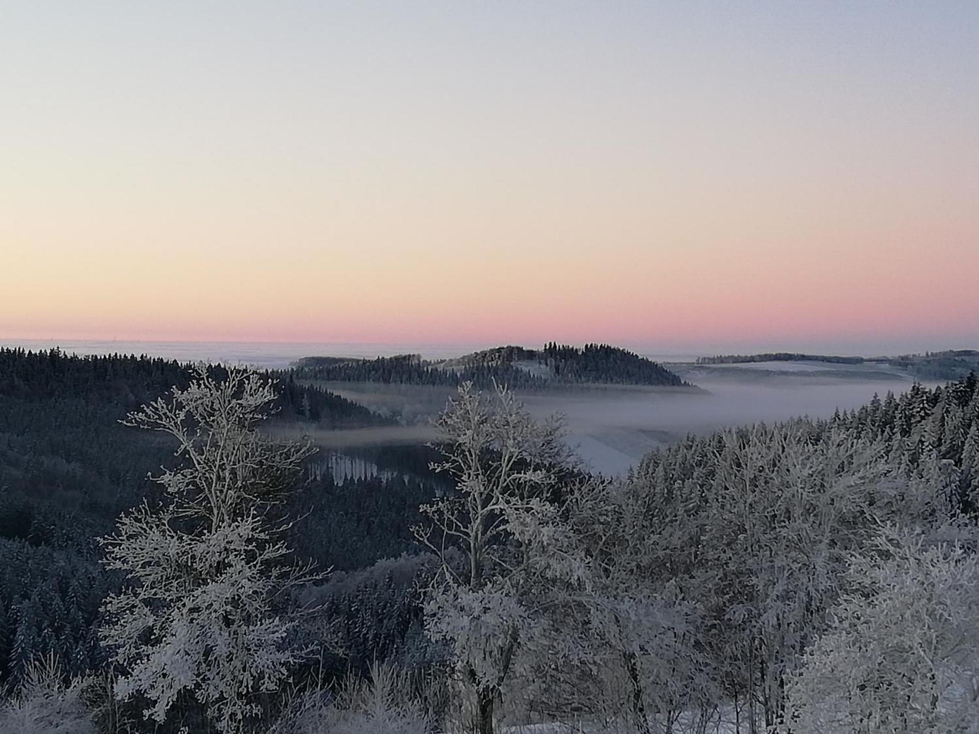 Ferienwohnung Astenrefugio Winterberg Esterno foto